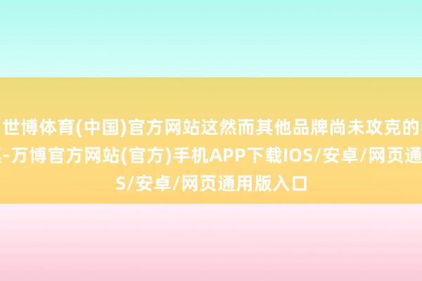 世博体育(中国)官方网站这然而其他品牌尚未攻克的时刻逶迤-万博官方网站(官方)手机APP下载IOS/安卓/网页通用版入口
