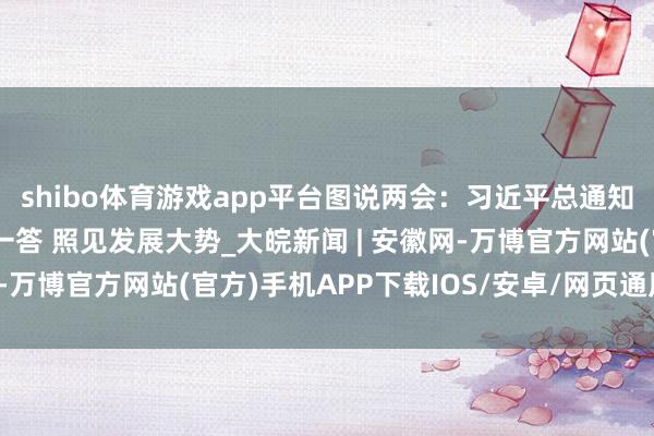 shibo体育游戏app平台图说两会：习近平总通知两会“下团组” 一问一答 照见发展大势_大皖新闻 | 安徽网-万博官方网站(官方)手机APP下载IOS/安卓/网页通用版入口