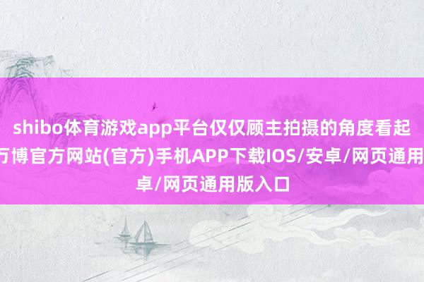 shibo体育游戏app平台仅仅顾主拍摄的角度看起来像-万博官方网站(官方)手机APP下载IOS/安卓/网页通用版入口