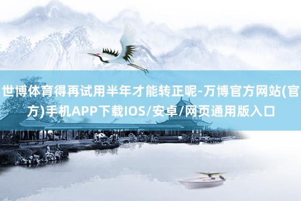 世博体育得再试用半年才能转正呢-万博官方网站(官方)手机APP下载IOS/安卓/网页通用版入口