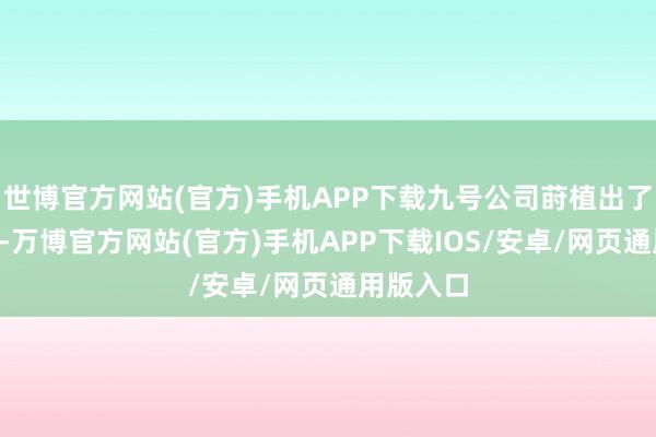 世博官方网站(官方)手机APP下载九号公司莳植出了5伟业务-万博官方网站(官方)手机APP下载IOS/安卓/网页通用版入口
