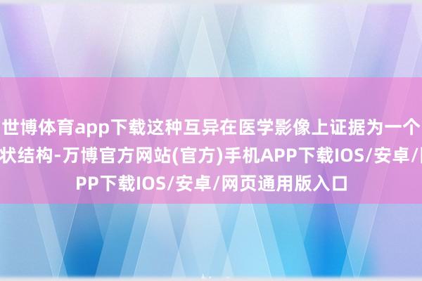 世博体育app下载这种互异在医学影像上证据为一个昭着的“岛屿”状结构-万博官方网站(官方)手机APP下载IOS/安卓/网页通用版入口