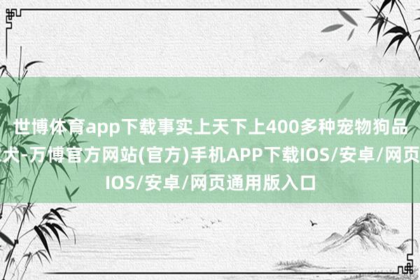 世博体育app下载事实上天下上400多种宠物狗品种王人是家犬-万博官方网站(官方)手机APP下载IOS/安卓/网页通用版入口