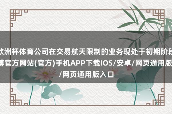 欧洲杯体育公司在交易航天限制的业务现处于初期阶段-万博官方网站(官方)手机APP下载IOS/安卓/网页通用版入口