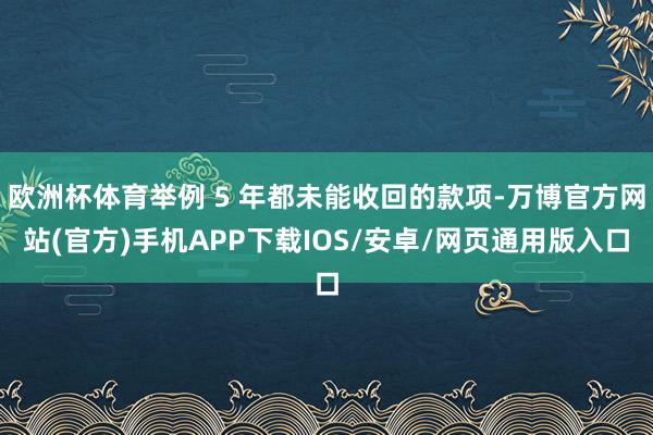 欧洲杯体育举例 5 年都未能收回的款项-万博官方网站(官方)手机APP下载IOS/安卓/网页通用版入口
