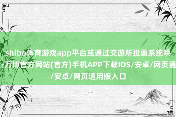 shibo体育游戏app平台或通过交游所投票系统哄骗表决权-万博官方网站(官方)手机APP下载IOS/安卓/网页通用版入口