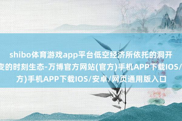 shibo体育游戏app平台低空经济所依托的洞开聚集架构以及复杂多变的时刻生态-万博官方网站(官方)手机APP下载IOS/安卓/网页通用版入口
