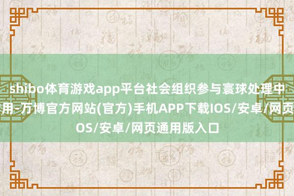 shibo体育游戏app平台社会组织参与寰球处理中积极发扬作用-万博官方网站(官方)手机APP下载IOS/安卓/网页通用版入口