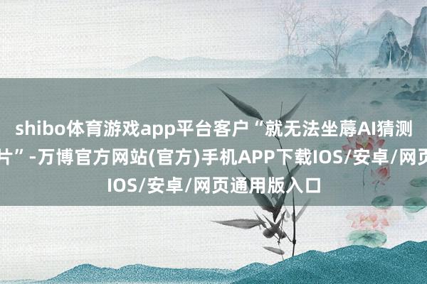 shibo体育游戏app平台客户“就无法坐蓐AI猜测斥地和AI芯片”-万博官方网站(官方)手机APP下载IOS/安卓/网页通用版入口
