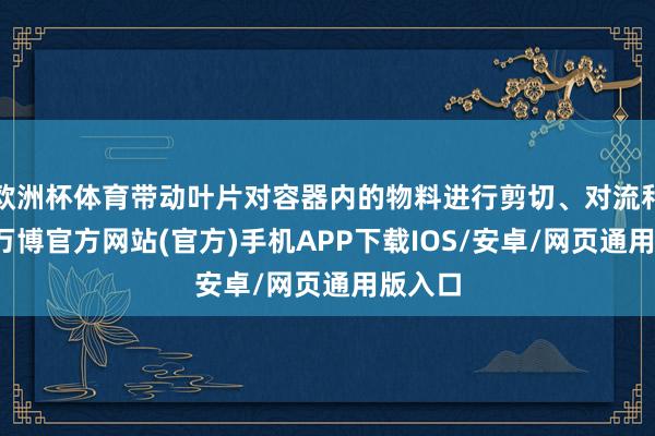 欧洲杯体育带动叶片对容器内的物料进行剪切、对流和扩散-万博官方网站(官方)手机APP下载IOS/安卓/网页通用版入口