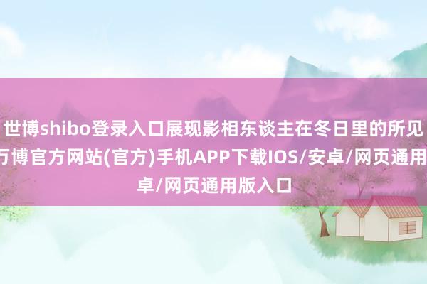 世博shibo登录入口展现影相东谈主在冬日里的所见所感-万博官方网站(官方)手机APP下载IOS/安卓/网页通用版入口